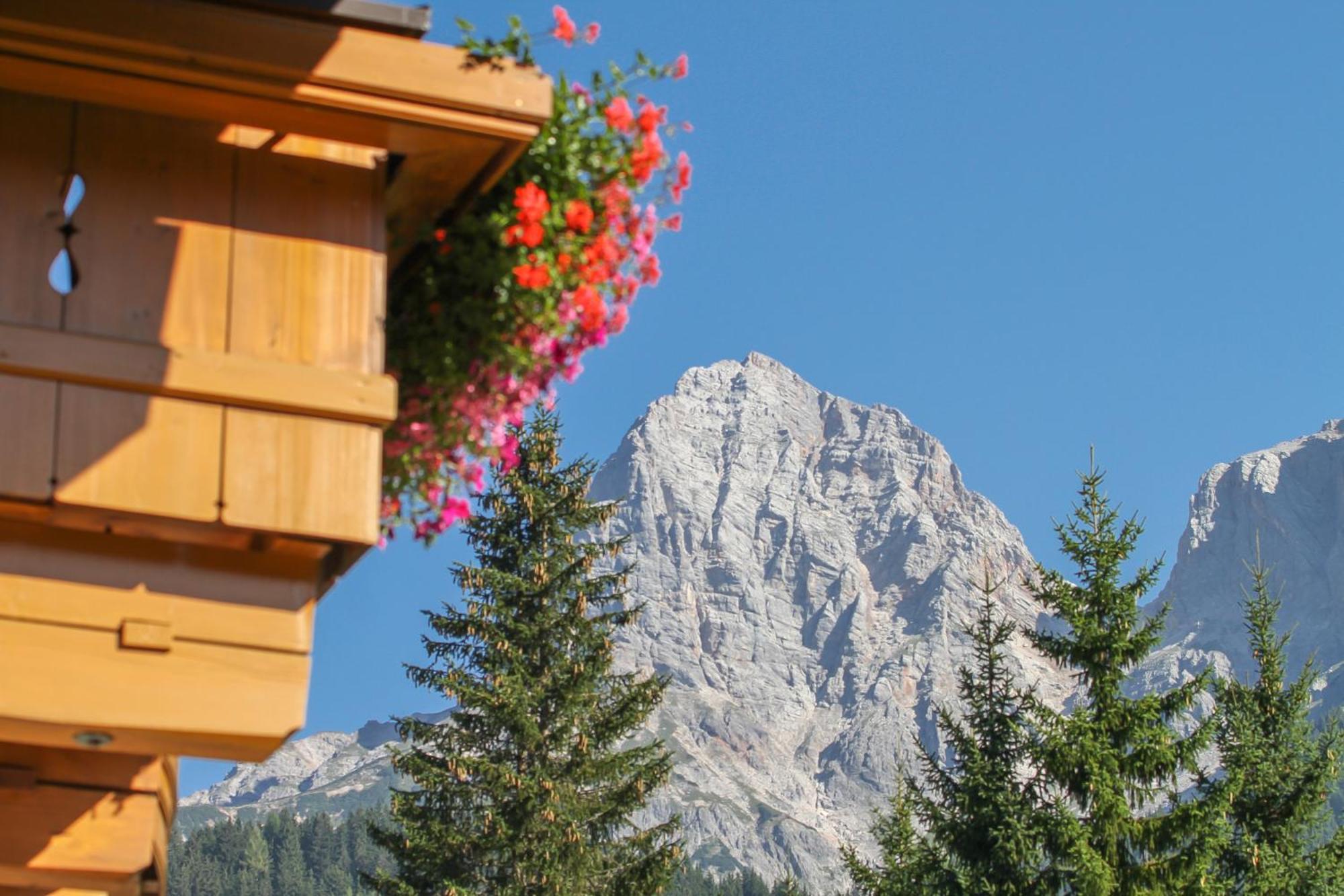 Haus Bergliebe Apartment Maria Alm am Steinernen Meer Exterior foto