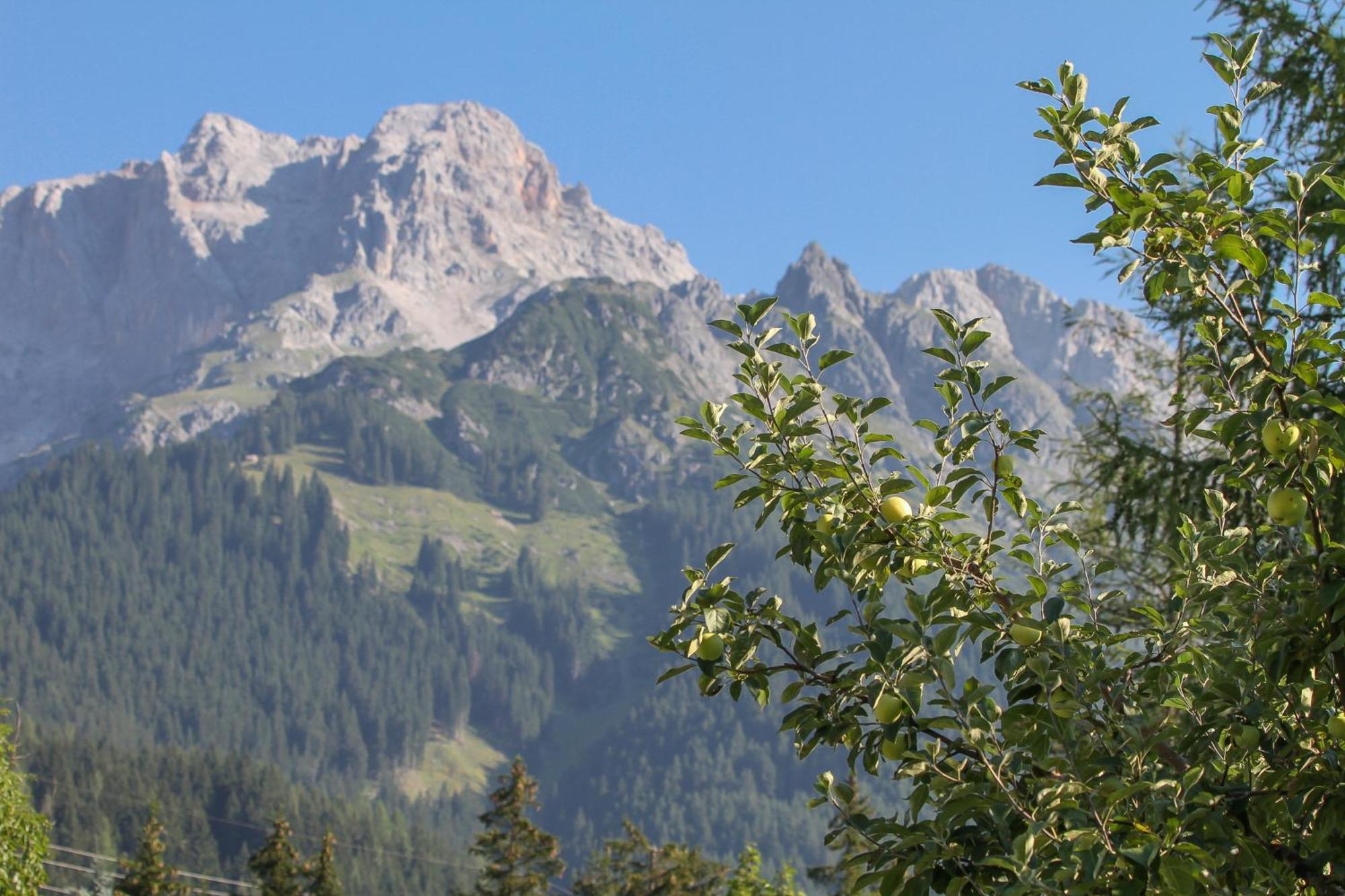 Haus Bergliebe Apartment Maria Alm am Steinernen Meer Exterior foto